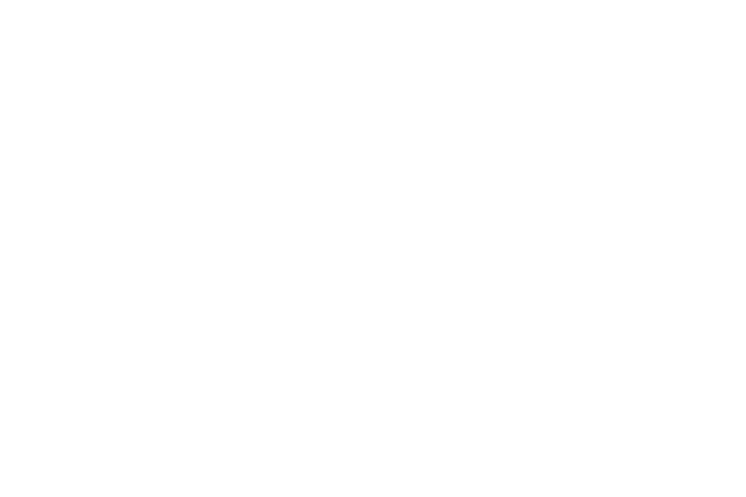 TwoLanes Logo